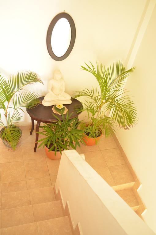 Apartmán Frangipani Dehiwala-Mount Lavinia Exteriér fotografie